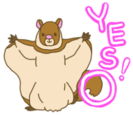 Flying squirrel sticker #4455759