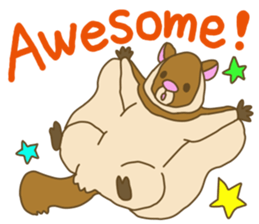 Flying squirrel sticker #4455763