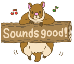 Flying squirrel sticker #4455767