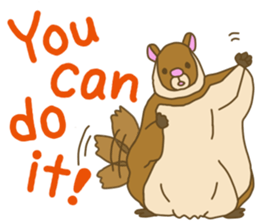 Flying squirrel sticker #4455769