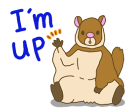 Flying squirrel sticker #4455771