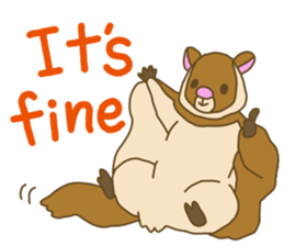 Flying squirrel sticker #4455773