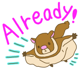 Flying squirrel sticker #4455776