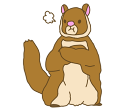 Flying squirrel sticker #4455779