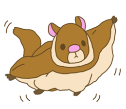 Flying squirrel sticker #4455783