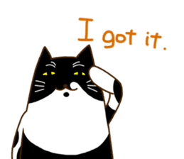 Cat's life(English version) sticker #4456985