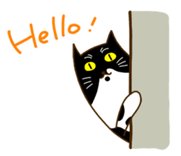 Cat's life(English version) sticker #4457001