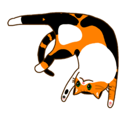 Cat's life(English version) sticker #4457017
