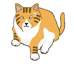 The jocular tabby (English version) sticker #4457505