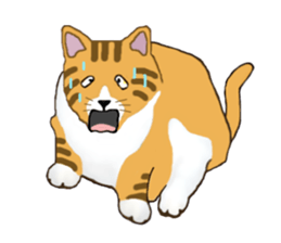 The jocular tabby (English version) sticker #4457507