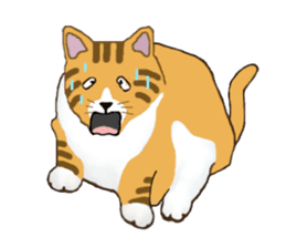 The jocular tabby (English version) sticker #4457507