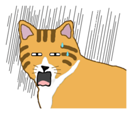 The jocular tabby (English version) sticker #4457527