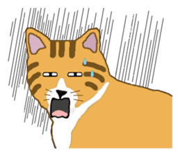 The jocular tabby (English version) sticker #4457527