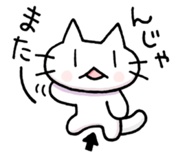 free freedom cat sticker #4467130