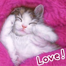 Painting of Puppies and Kittens sticker #4467584