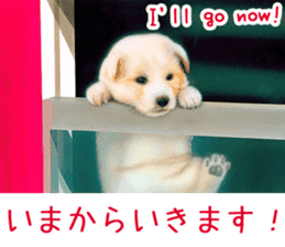 Painting of Puppies and Kittens sticker #4467591