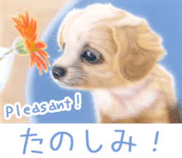 Painting of Puppies and Kittens sticker #4467592