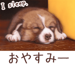 Painting of Puppies and Kittens sticker #4467596