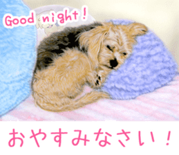 Painting of Puppies and Kittens sticker #4467597