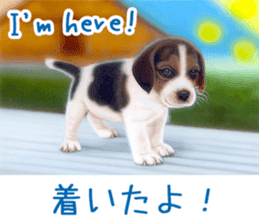 Painting of Puppies and Kittens sticker #4467601