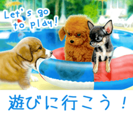 Painting of Puppies and Kittens sticker #4467603