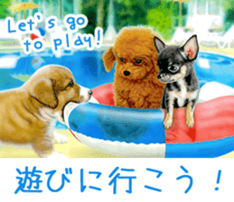 Painting of Puppies and Kittens sticker #4467603