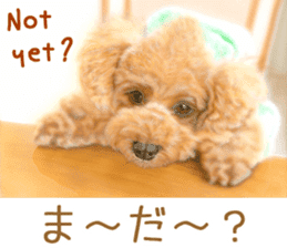 Painting of Puppies and Kittens sticker #4467604