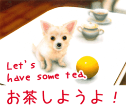 Painting of Puppies and Kittens sticker #4467607