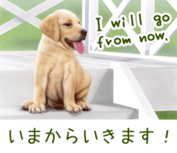 Painting of Puppies and Kittens sticker #4467615