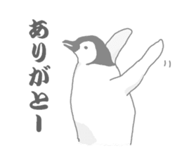 Penguins!!! sticker #4468184