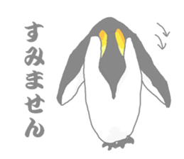 Penguins!!! sticker #4468185