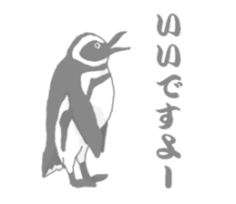 Penguins!!! sticker #4468187