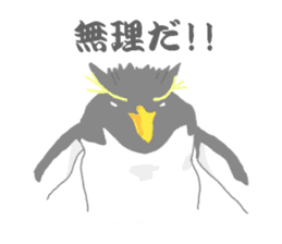 Penguins!!! sticker #4468188