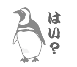 Penguins!!! sticker #4468190