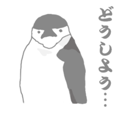 Penguins!!! sticker #4468192