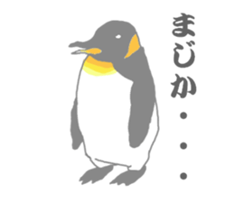 Penguins!!! sticker #4468193