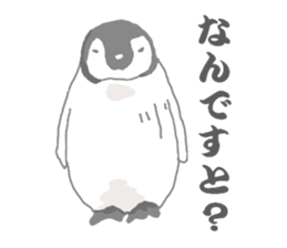 Penguins!!! sticker #4468195
