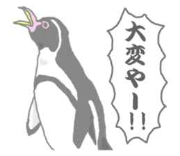 Penguins!!! sticker #4468197