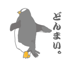 Penguins!!! sticker #4468200