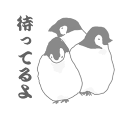 Penguins!!! sticker #4468204
