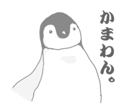 Penguins!!! sticker #4468206