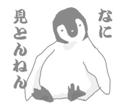 Penguins!!! sticker #4468208
