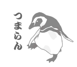 Penguins!!! sticker #4468214