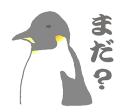 Penguins!!! sticker #4468219