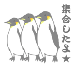 Penguins!!! sticker #4468221