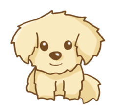 Golden Retriever's Sticker sticker #4471195