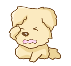 Golden Retriever's Sticker sticker #4471208