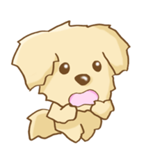 Golden Retriever's Sticker sticker #4471214