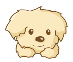Golden Retriever's Sticker sticker #4471215