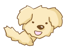 Golden Retriever's Sticker sticker #4471228